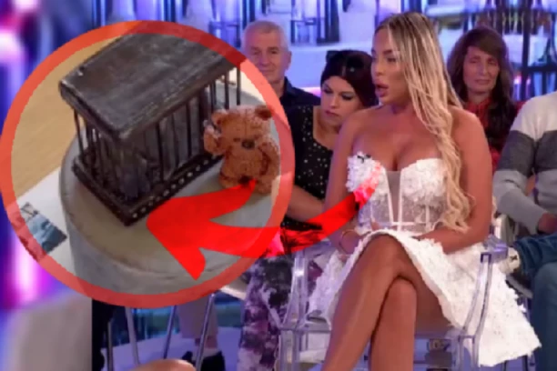 NOVI DETALJI O AFERI TORTE KOJA JE SOFIJI UNETA U ELITI: Ko je misteriozni muškarac sa slike?! Otkriveno da li Milica Veličković stoji iza svega!