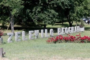 RAD GRADSKIH INSTITUCIJA "ZELENILO BEOGRAD": Briga o milion stabala