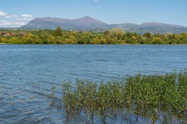 MILAN U BOVANSKOM JEZERU UPECAO NEMAN OD 55 KILOGRAMA! Nije mogao da veruje svojim očima u šta gleda!