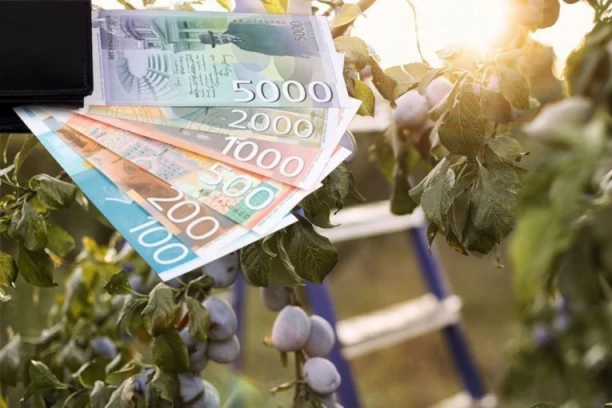 ZARAĐUJU 5.000 DINARA DNEVNO! Diploma nije potrebna - Evo o kom poslu je reč