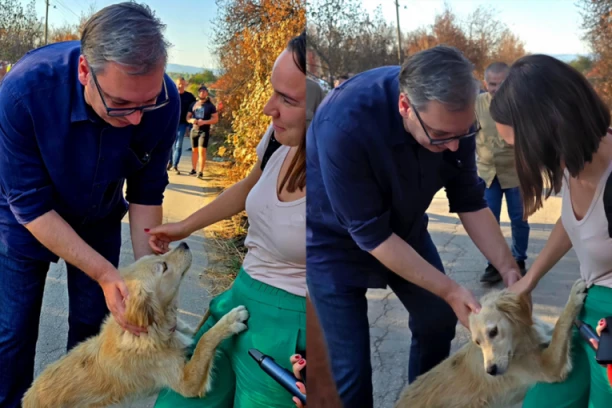 VUČIĆ ODUŠEVIO SA FOTOGRAFIJOM IZ ŽITORAĐE! Razgovor sa novinarkom i specijalnim prijateljem: "DIPLOMATIJA NA ČETIRI ŠAPE" (FOTO)