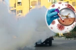 VIRUS ZAPADNOG NILA SE ŠIRI JAKO BRZO! Beograđani strahuju, leglo zaraženih komaraca može da bude u svakom dvorištu ili kući!