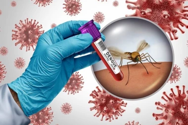 PREMINULA I PETA OSOBA OD VIRUSA ZAPADNOG NILA: Panika u zemlji, evo koji su prvi simptomi zaraze