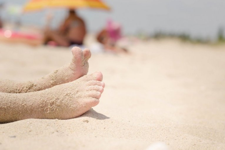 ALARM ON POPULAR BEACHES, A TERRIFYING CREATURE HAS APPEARED: The sting is extremely painful, don't touch it even if it's dead! DANGER LURKS IN THE SHALLOWS! (VIDEO)