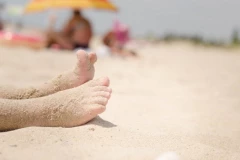 ALARM NA POPULARNIM PLAŽAMA, POJAVILO SE JEZIVO BIĆE: Ubod je izuzetno bolan, ne dirajte ga ni ako je mrtvo! OPASNOST VREBA IZ PLIĆAKA! (VIDEO)