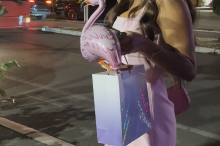 Aneli Ahmić i Ena Čolić