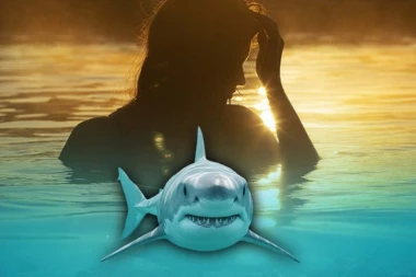 TRUDNU ŽENU SLAVNOG KOŠARKAŠA NAPALA AJKULA