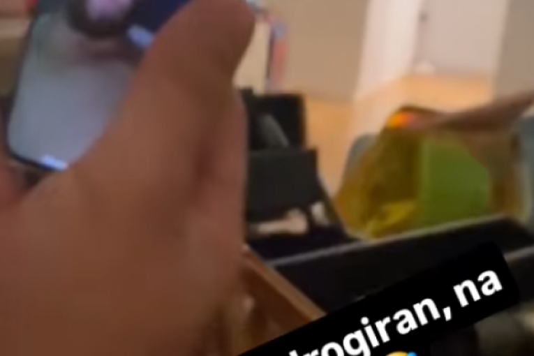 Miljana Kulić i Zola na video poziv