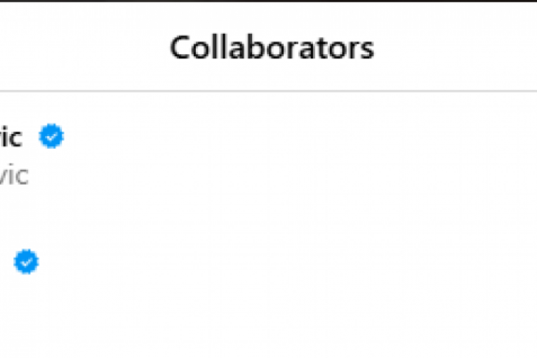 Jelena Karleuša i Željko Mitrović se zapratili na Instagramu