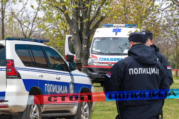 HOROR U KAĆU! Muškarac izvršio samoubistvo PIŠTOLJEM ZA SVINJE!