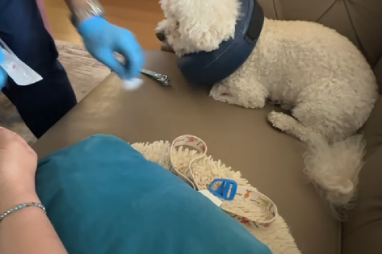 Olja Crnogorac Instagram