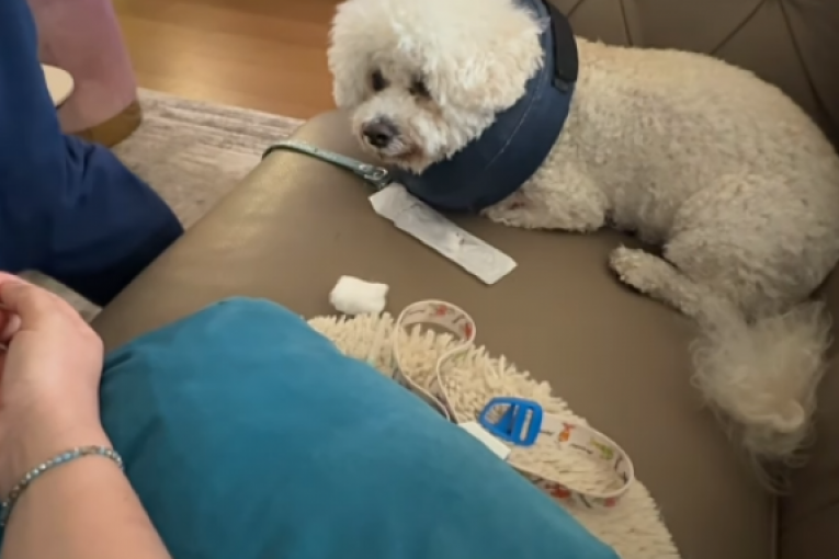 Olja Crnogorac Instagram