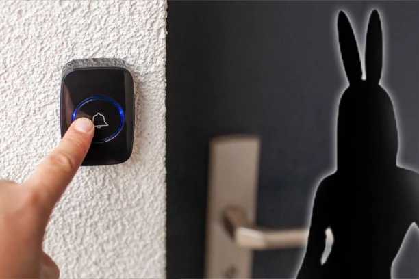 SRBIN UPAO KOD KOMŠINICE U STAN U AUSTRIJI! Umislio da ga je u kostimu zečice pozvala u trojku: Policajci ostali u ŠOKU!