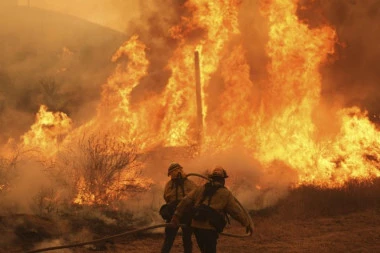 BUKNUO VELIKI POŽAR KOD PREŠEVA! Železnički saobraćaj potpuno obustavljen - VATRA SE BRZO ŠIRI!