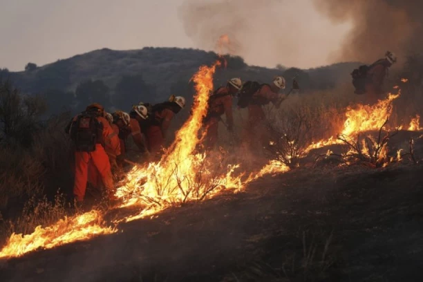 BUKNUO VELIKI POŽAR U ŠIDU! Vatrogasci se bore sa vatrenom stihijom - VATRA SE PRIBLIŽAVA KUĆAMA! (VIDEO)