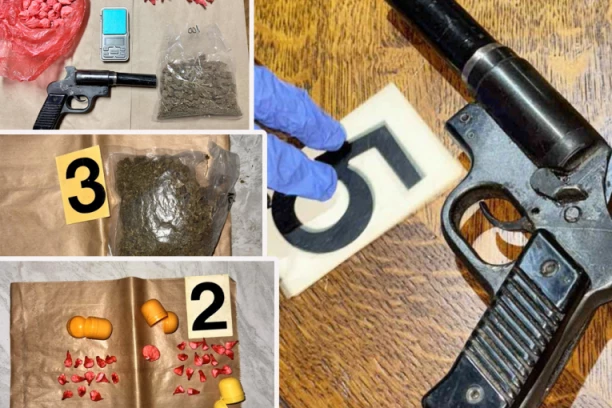 HAPŠENJE U SREMSKOJ MITROVICI! Kuća puna različite vrste droge: Mladić imao i vagicu, ali i PIŠTOLJ! (FOTO)