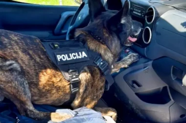 POLICIJSKI PAS ARES OTKRIO KOKAIN U AUTOMOBILU! Vozač stavio drogu umesto vazdušnog jastuka! (FOTO)