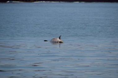BEŽIVOTNA TELA PLUTAJU JADRANSKIM MOREM! Ribolovci naišli na tužan prizor - FOTOGRAFIJE RASPLAKALE REGION (FOTO)
