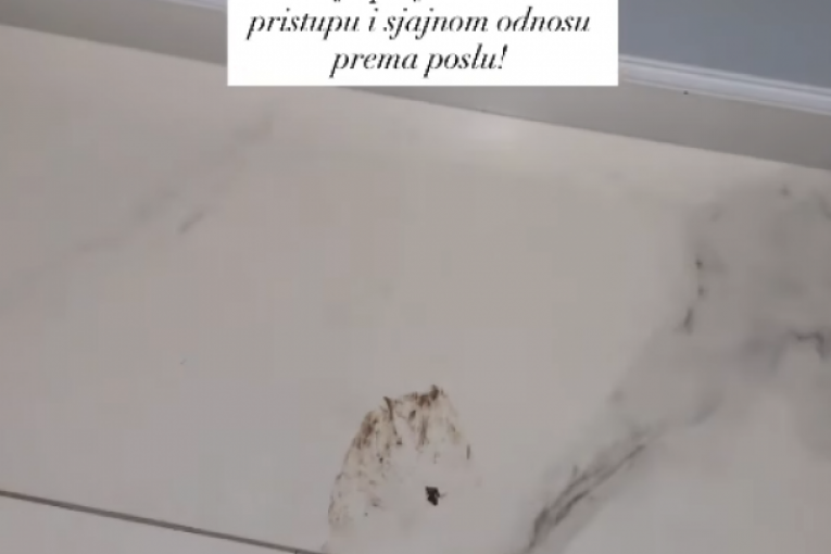 Snežana Borjan opljačkana