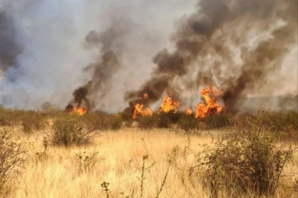 VELIKI POŽAR U KRAGUJEVCU! Buktinja preti da zahvati halu "Fijatovog" komponentaša! (VIDEO)