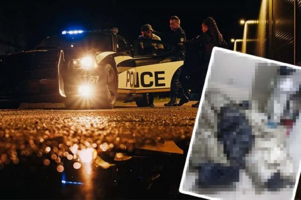 UHAPŠENE ČETIRI OSOBE ZBOG LIKVIDACIJE TROJICE SRBA U BOLIVIJI! Nišlije svirepo MUČILI, pa UBILI: Tela pronađena u crnim džakovima!