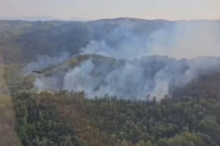 MUP Srbije/ printscreen