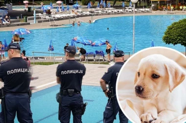 HOROR U SVRLJIGU! Monstrum zaklao štene i bacio ga u bazen pun kupača!