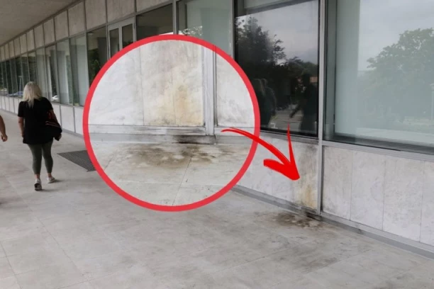 BACIO MOLOTOVLJEV KOKTEL NA KUĆU CVEĆA! Izneo je svoju odbranu!