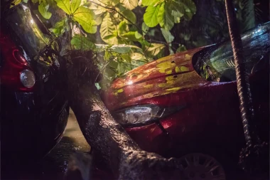 OPŠTI KOLAPS U RUMUNIJI: Hiljade domova bez struje, palo drveće oštetilo automobile - spasioci imaju pune ruke posla! (VIDEO)