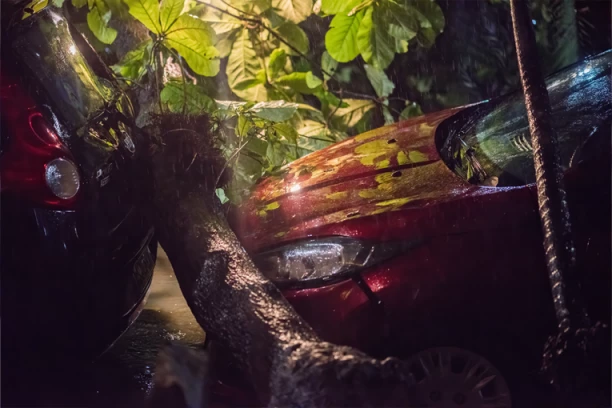 OPŠTI KOLAPS U RUMUNIJI: Hiljade domova bez struje, palo drveće oštetilo automobile - spasioci imaju pune ruke posla! (VIDEO)