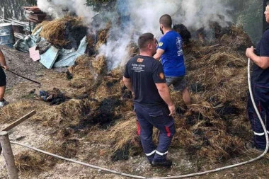 KATASTROFA! MEŠTANI PALILI SMEĆE I PRAVILI HAOS! Požari u Bijelom Polju se ne smiruju - za sve krivi građani