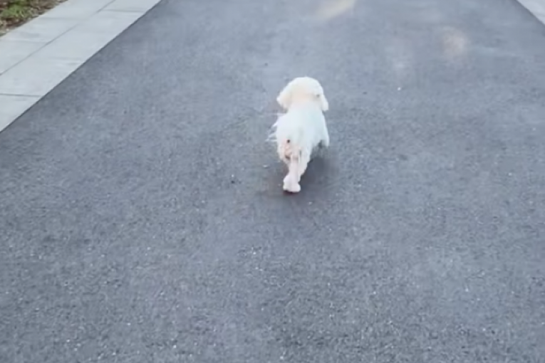 Sofijina objava na Instagramu