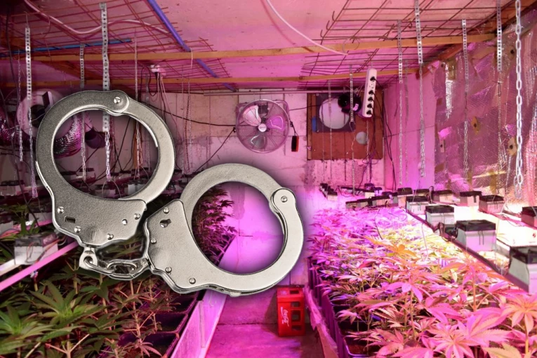 U STANU NAPRAVIO LABORATORIJU ZA MARIHUANU! Uhapšen muškarac u Novom Sadu!