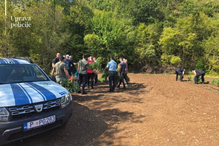 Tanjug/MUP CRNE GORE UPRAVA POLICIJE