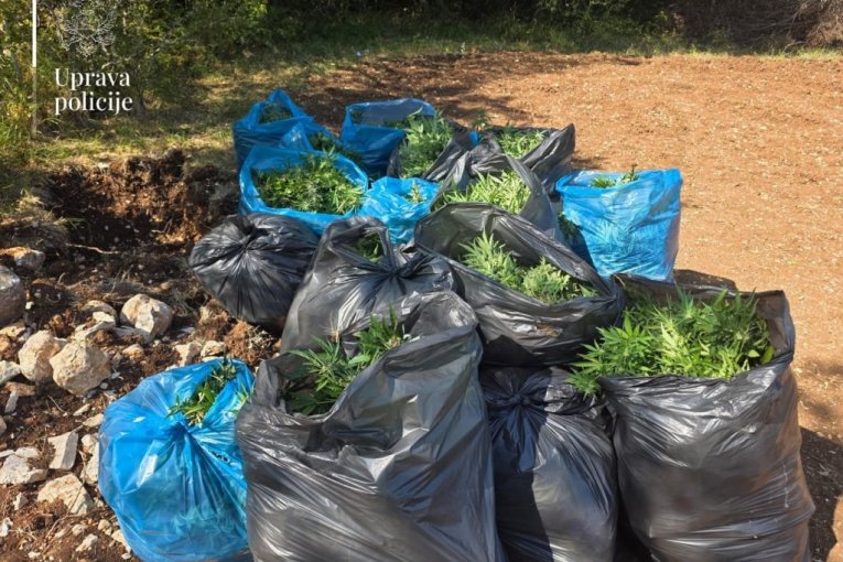 Tanjug/MUP CRNE GORE UPRAVA POLICIJE