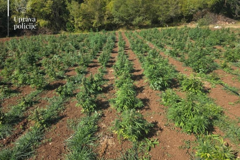 Tanjug/MUP CRNE GORE UPRAVA POLICIJE