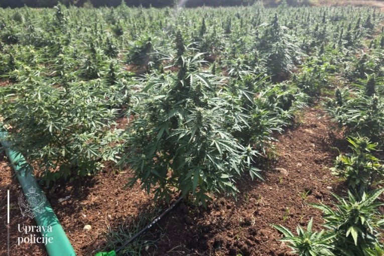 Tanjug/MUP CRNE GORE UPRAVA POLICIJE