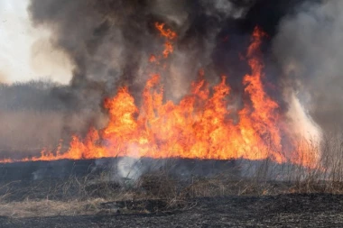 BUKNUO VELIKI POŽAR KOD PROKUPLJA! Vatra se brzo širi zbog vetra, zahvaćeno nekoliko kuća - NESTALA I STRUJA!