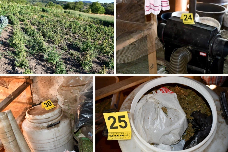 UZGAJAO KANABIS I DRŽAO NELEGALNU PUŠKU! Veliko otkriće i hapšenje u Vranju! (FOTO)