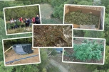 POGLEDAJTE KAKO IZGLEDA NAJVEĆA PLANTAŽA MARIHUANE U CRNOJ GORI! Droga vredna više od 5 miliona evra, 13.100 sadnica! (FOTO, VIDEO)