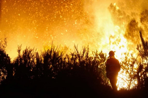 DVE OSOBE ŽIVE IZGORELE! Katastrofalan požar šokirao zemlju, za sve kriv BAČEN OPUŠAK! (VIDEO)