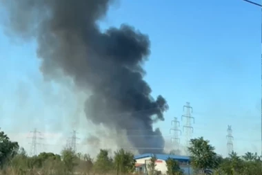 POŽAR NA BEŽANIJSKOJ KOSI! Gust dim nad ovim delom Beograda! (VIDEO)