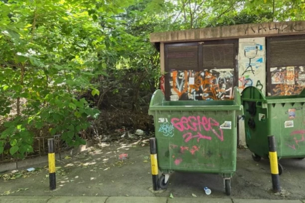 PREOKRET U SLUČAJU PRONAĐENE BEBE U ZEMUNU! Maja koja je spasila želi da usvoji devojčicu!