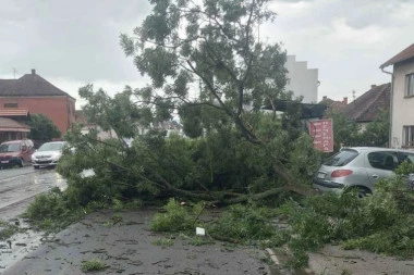 NEVREME NAPRAVILO HAOS U OVOM DELU SRBIJE! Vetar čupao stabla iz korena: Za dlaku izbegnuta tragedija (FOTO)