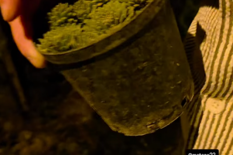 Draganina objava na Instagramu