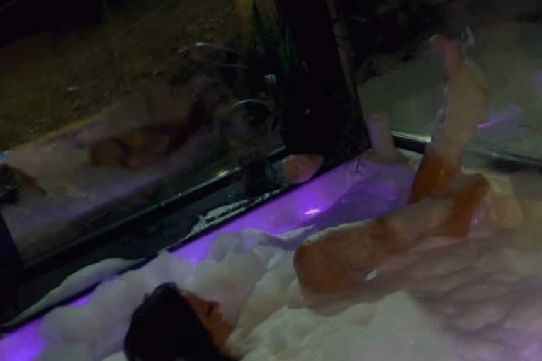 Slađa Lazić Instagram