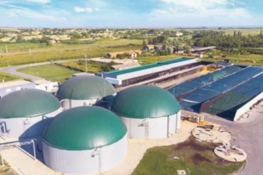 Verovali ili ne, stajnjak proizvodi struju!