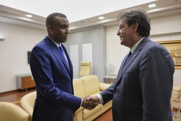Gašić na Aerodromu "Nikola Tesla" dočekao delegaciju Somalije (FOTO)