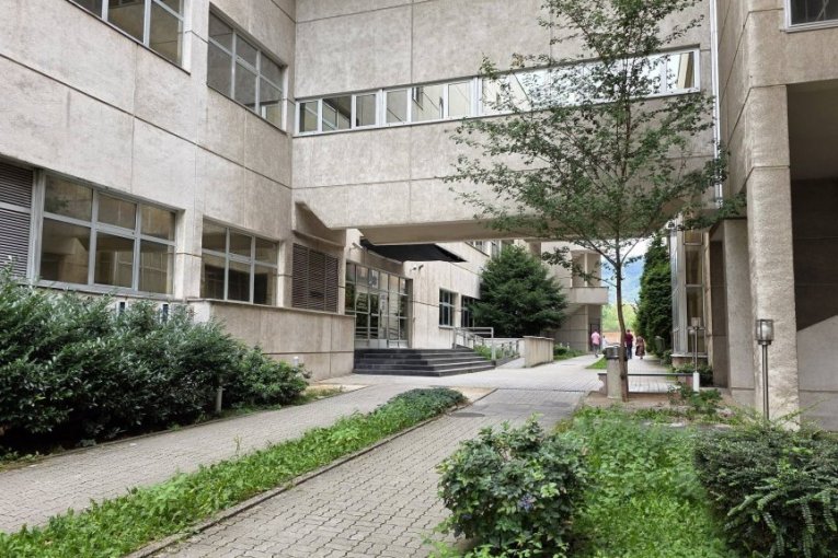 Ovde se leče Halid Bešlić i njegova supruga Sejda