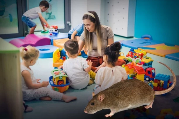 PRIMEĆENI PACOVI U VRTIĆU U BANATU! Deca ostala bez užine i igračaka!